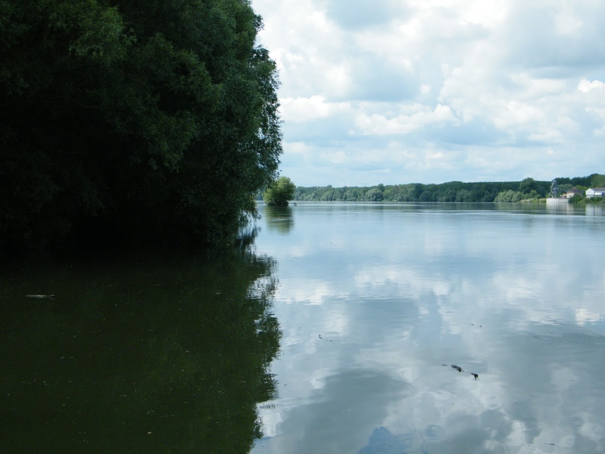 Danube divides the forest