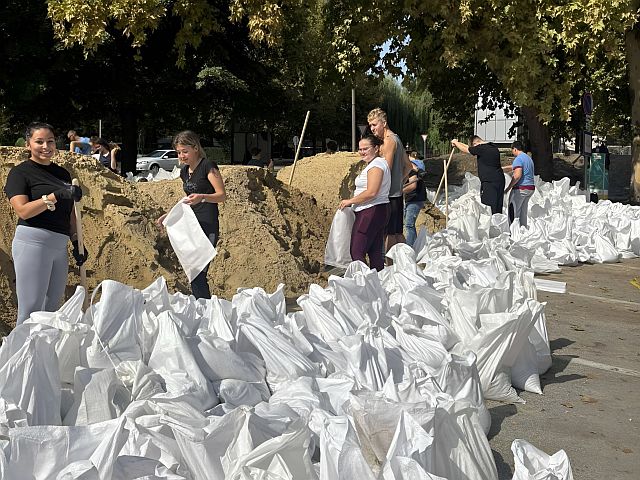 Árvízvédelmi munkálatok a Petőfi-szigeten.