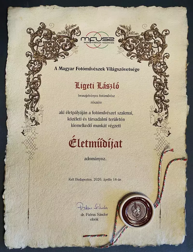 Ligeti László elismerése