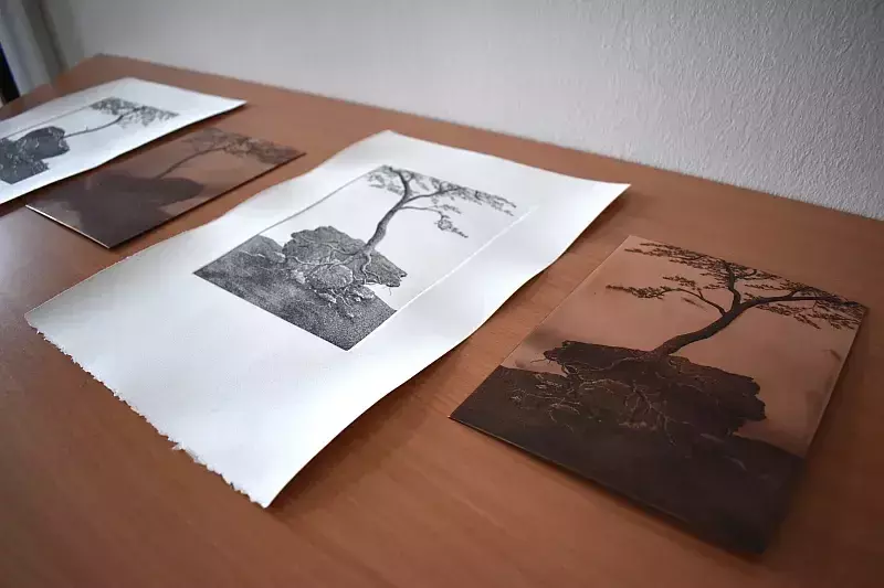 Alkotótábor, amely a kortárs művészet tükre 
