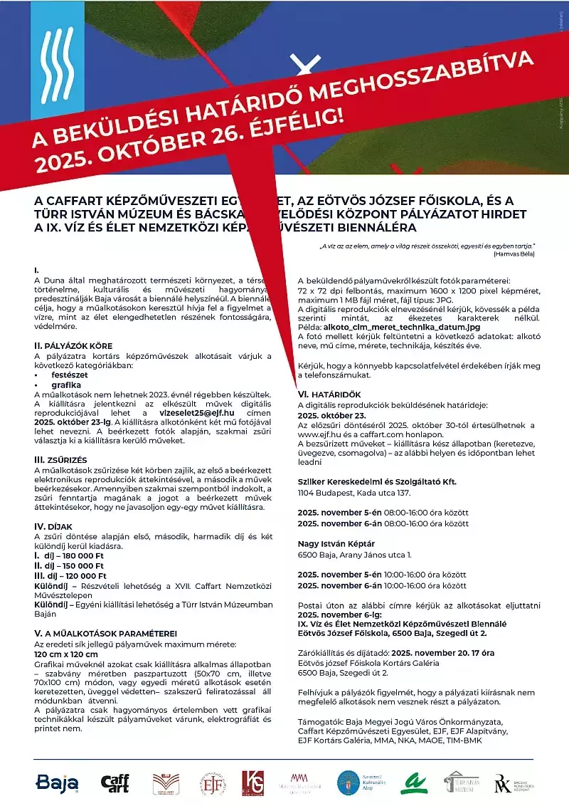 A felhívás plakátja.